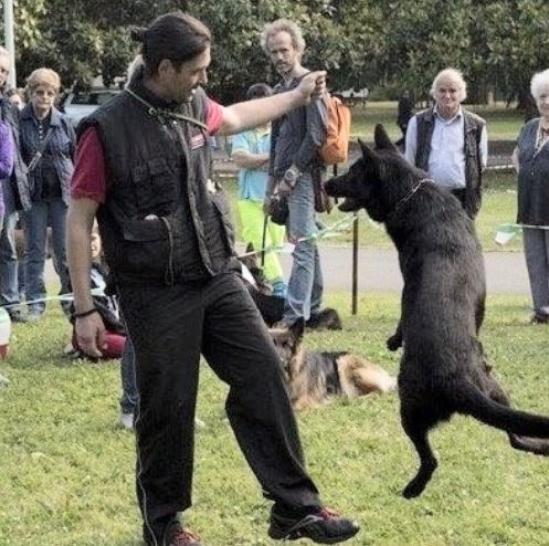 Un percorso vincente