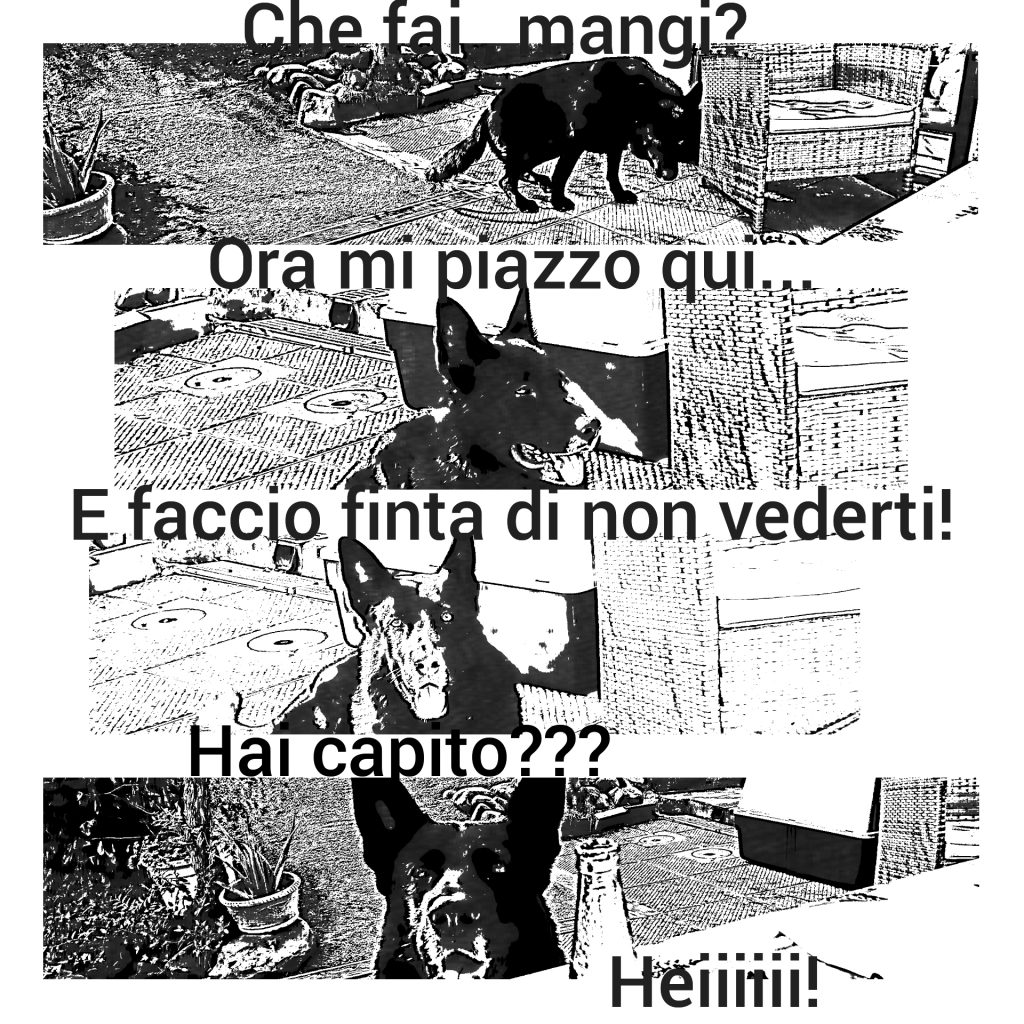 Il cane cattivo 1 FUMETTO IL CANA NON CHIEDE