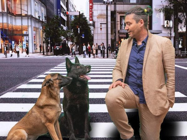 PASSEGGIATA GUIDATA CON IL CANE