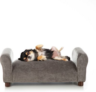 cane e divano