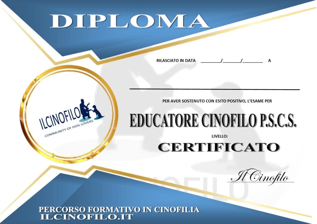 diploma