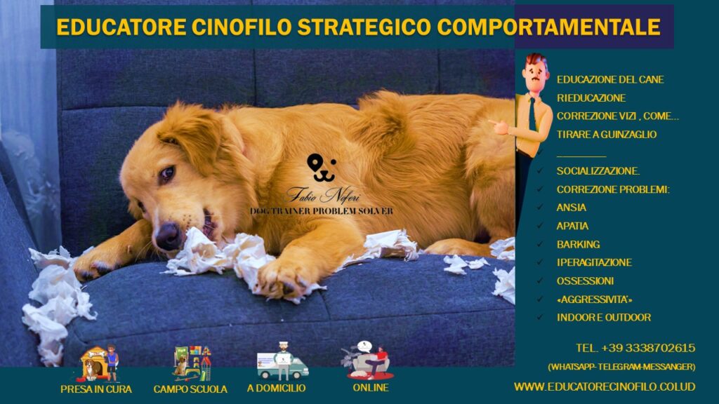 EDUCATORE CINOFILO COMPORTAMENTALE 1 FABIO NOFERI EDUCATORE COMPORTAMENTALE ESTRATEGICO