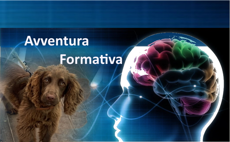 Come spiegarlo al proprietario? 1 avventura formativa ALTO