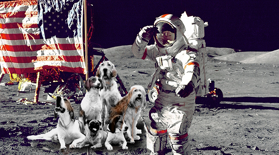 astronauta e cani trekking