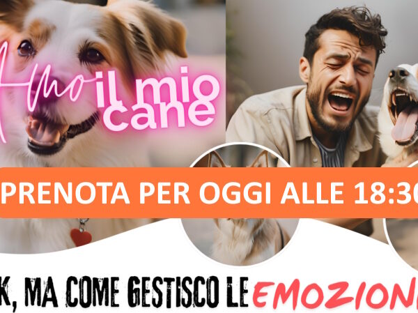 AMO IL MIO CANE: MA COME GETIRE LE EMOZIONI ? WEBINAR 19 GIUNO 2024