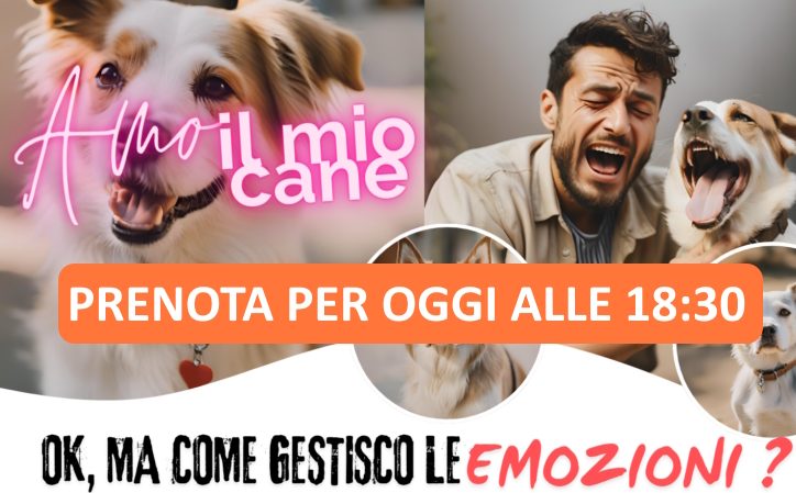 PRENOTA WEBINAR