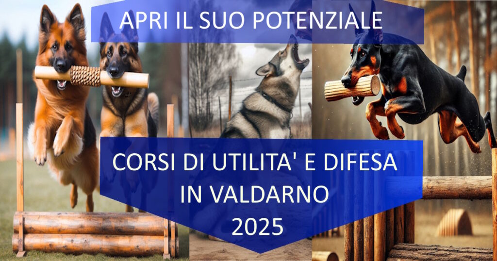 corsi di utilita e difesa in valdarno emotional team 2025