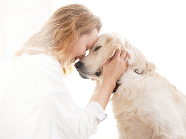 il cane amico