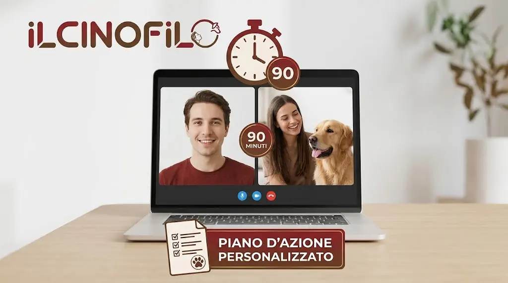 Lezione/Consulenza Online 2 Piano-Personalizzato