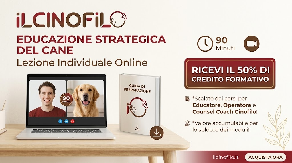 Lezione/Consulenza Online 1 lezione-singola-ilcinofilo
