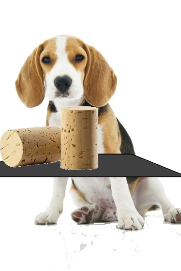 cane tappi cane tappi